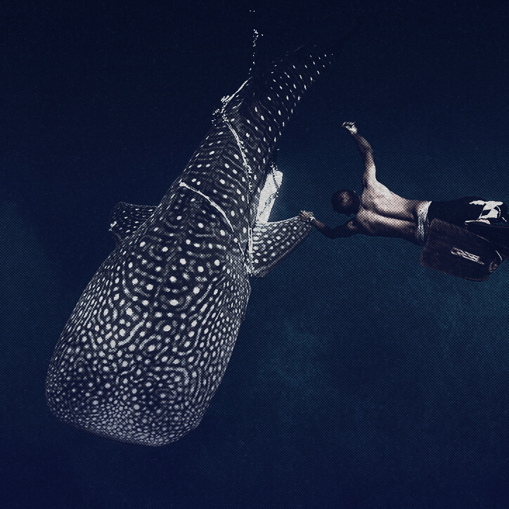 SYMBOL OF THE SEAS